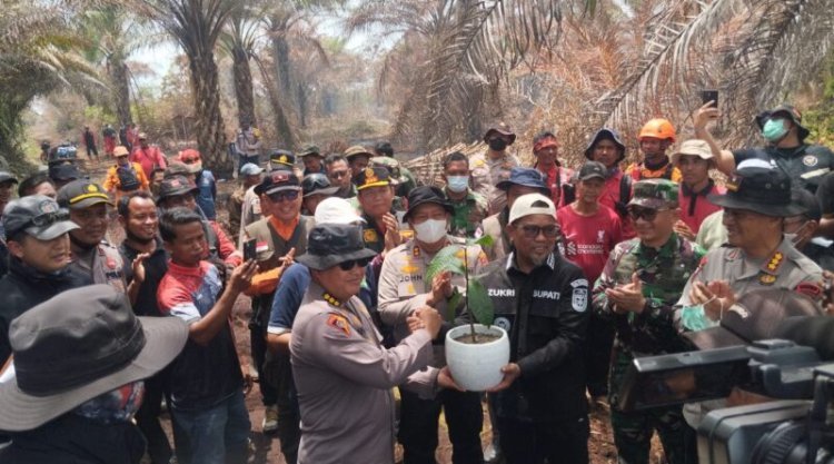 Pemkab Pelalawan Intensifkan Penanganan Karhutla, Bupati Zukri Lakukan Monitoring Udara