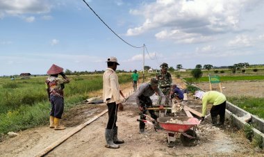 Gotong Royong di Jalan SK 7: TMMD 125 Kodim 0321/Rohil Wujudkan Akses Ketahanan Pangan di Rokan Baru Pesisir